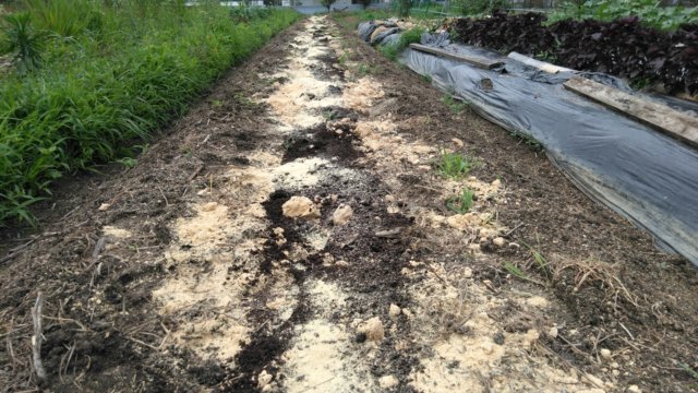 腐葉土、ぼかし肥料、堆肥、牡蠣殻石灰を投入する